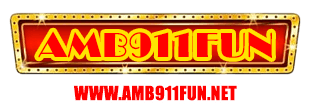 amb911fun